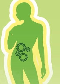 Čaje, kapsle na podporu metabolismu