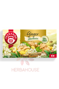 Teekanne Bylinkový čaj se zázvorem a rakytníkem (20ks) Obrázek pro Teekanne Bylinkový čaj se zázvorem a rakytníkem (20ks)